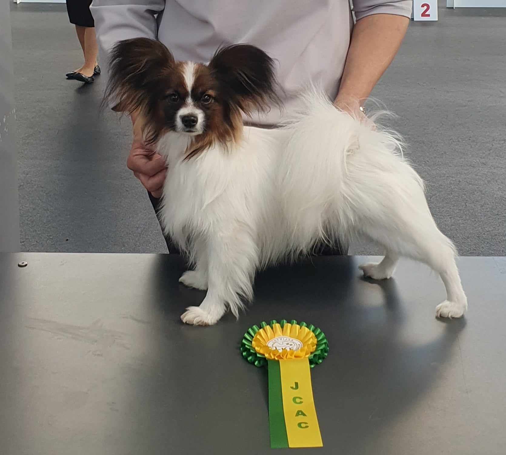 9.gr.dog show in Riga 30.03.24