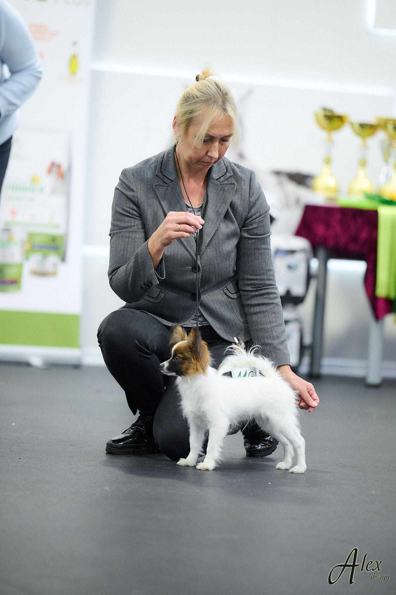 29/10/2023  FCI 9.group specialty show