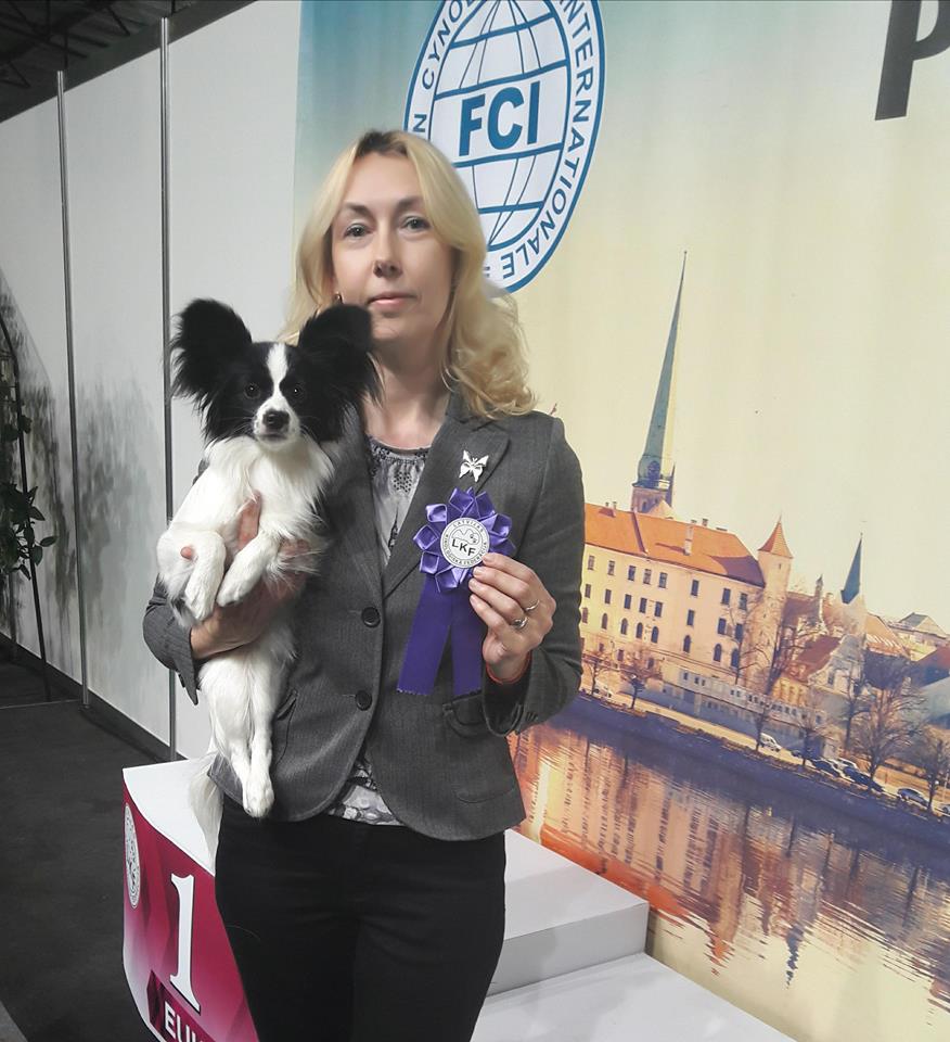 7 m cacib